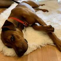 Thumbnail photo of Beautiful Luca #3
