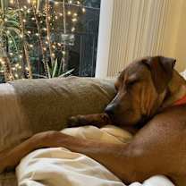 Thumbnail photo of Beautiful Luca #4