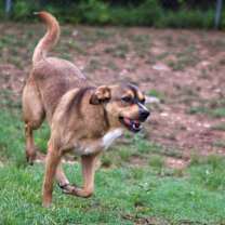 Thumbnail photo of Hunter #2