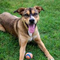 Thumbnail photo of Hunter #1
