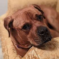 Thumbnail photo of Maverick #2