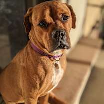 Thumbnail photo of Maverick #3