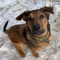 Thumbnail photo of Ruckus #4