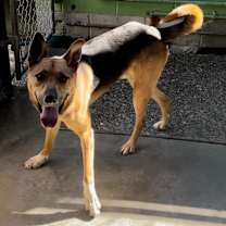 Thumbnail photo of Max #4