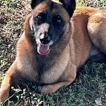 Thumbnail photo of Lacy fka Linda - located in Central TX #1