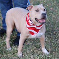 Thumbnail photo of Tucker #1
