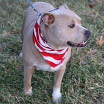 Thumbnail photo of Tucker #2