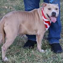Thumbnail photo of Tucker #3