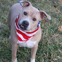 Thumbnail photo of Tucker #4