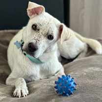 Thumbnail photo of Maya #1