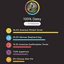 Thumbnail photo of Daisy #3