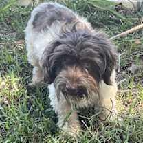 Thumbnail photo of Franklin #1
