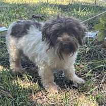 Thumbnail photo of Franklin #2