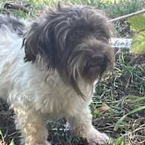 Thumbnail photo of Franklin #3