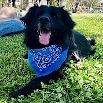 Thumbnail photo of Tito #1