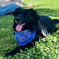 Thumbnail photo of Tito #2