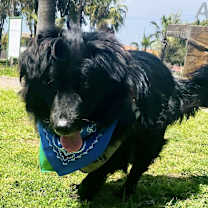 Thumbnail photo of Tito #3