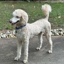 Thumbnail photo of MILO #2