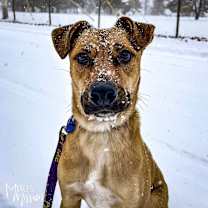Thumbnail photo of Chase #1