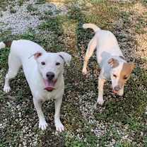 Thumbnail photo of Delbert #3