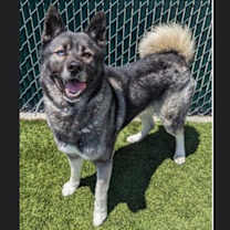 Thumbnail photo of Tashi #4