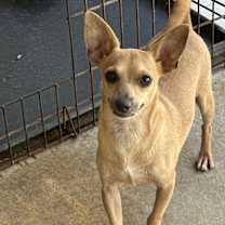 Thumbnail photo of Stan #1