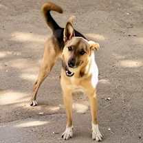 Thumbnail photo of Max #2