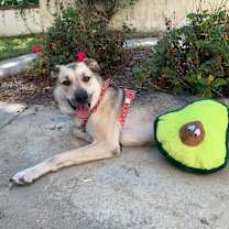 Thumbnail photo of Luna #1