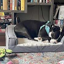 Thumbnail photo of Dottie #3