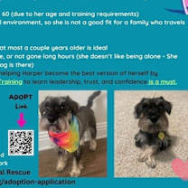 Thumbnail photo of Harper  (STOLEN) #1