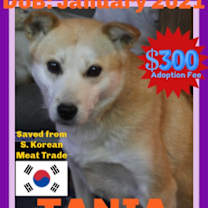 Thumbnail photo of TANIA - $300 #1