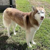 Thumbnail photo of Coby #3