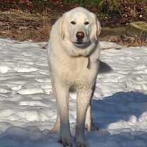 Thumbnail photo of Della #2