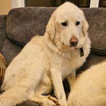 Thumbnail photo of Della #3