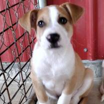 Thumbnail photo of Archer #2