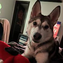 Thumbnail photo of Jade #4