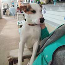 Thumbnail photo of Hank #2