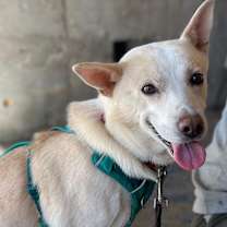 Thumbnail photo of Buddy #3