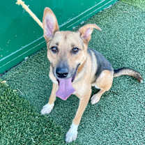 Thumbnail photo of Max #1