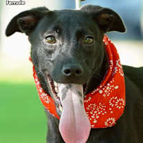 Thumbnail photo of Ansley #3