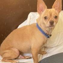 Thumbnail photo of Marty #2