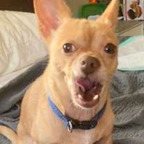 Thumbnail photo of Marty #3
