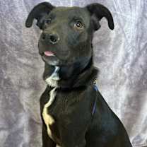 Thumbnail photo of Mason #2