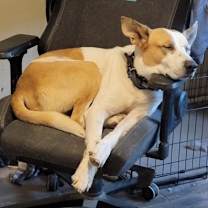 Thumbnail photo of Trotter #3