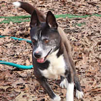 Thumbnail photo of Jack #1
