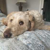 Thumbnail photo of Jack #1