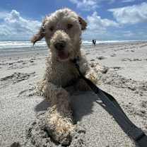 Thumbnail photo of Jack #2