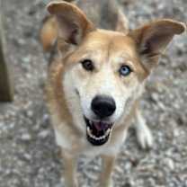 Thumbnail photo of Penelope #1