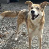 Thumbnail photo of Penelope #2
