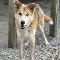 Thumbnail photo of Penelope #3